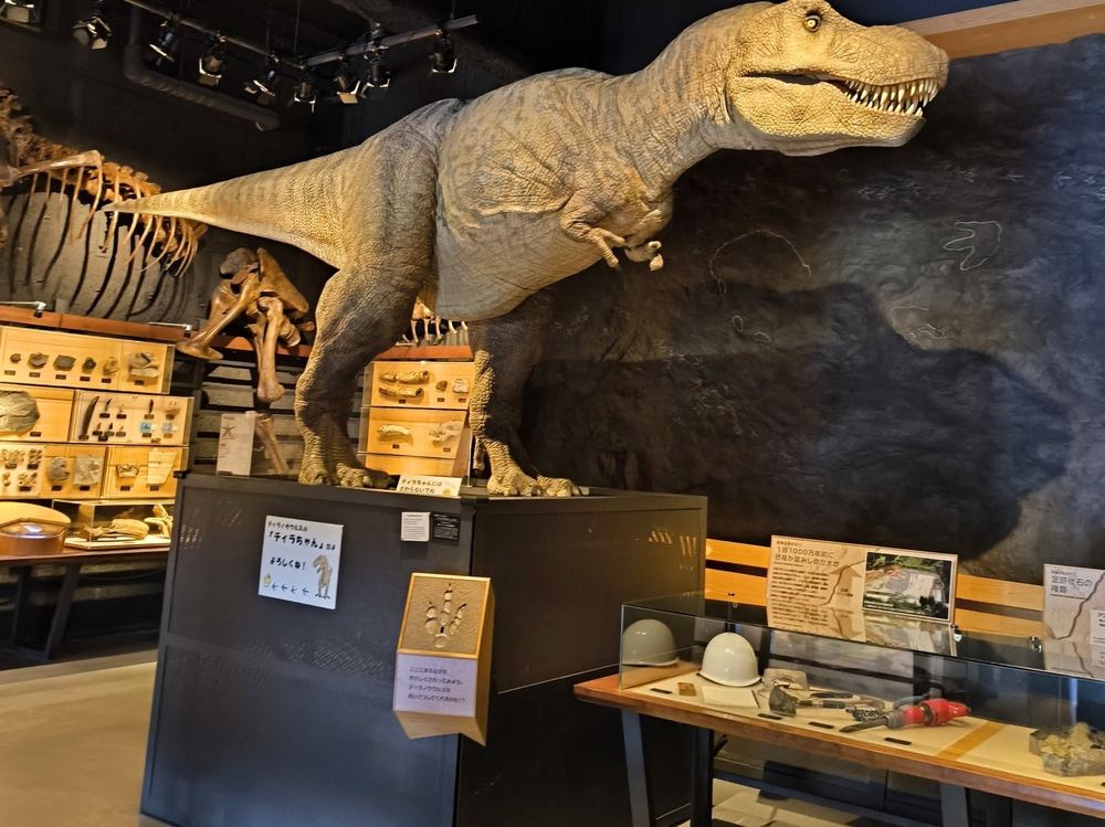 富山市科学博物館（写真1枚目）