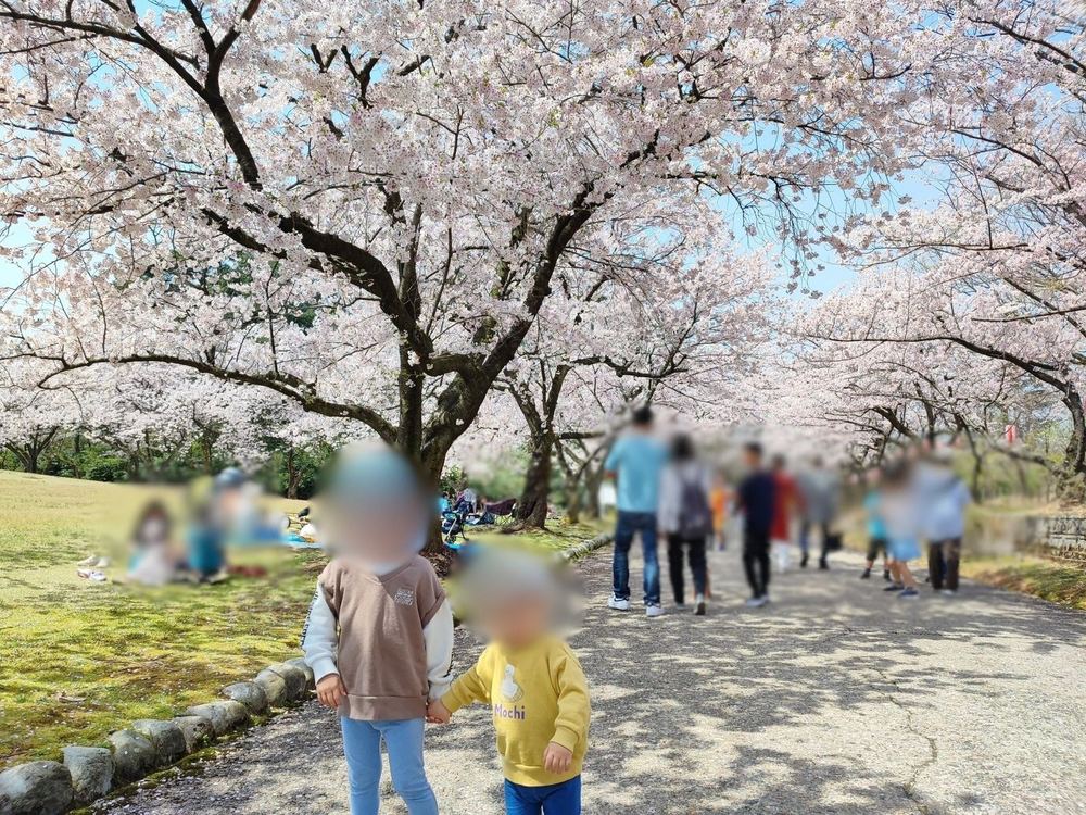 宮野運動公園（写真1枚目）