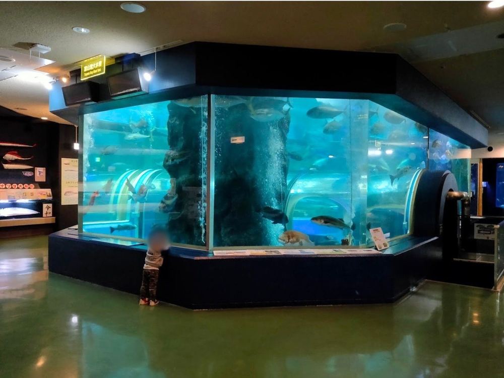 魚津水族館(写真1枚目)