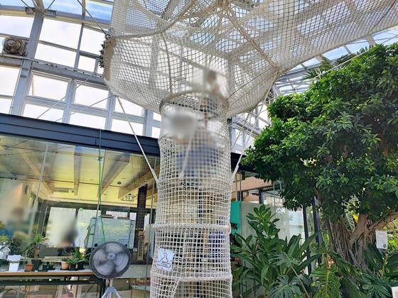 氷見市海浜植物園（写真7枚目）