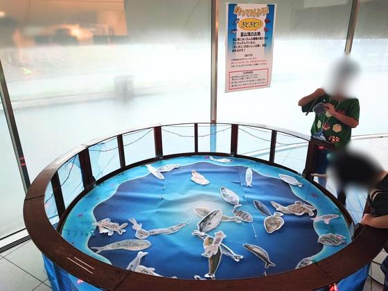 ほたるいかミュージアム（写真4枚目）