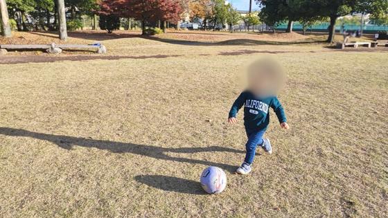 富山県岩瀬スポーツ公園（写真5枚目）