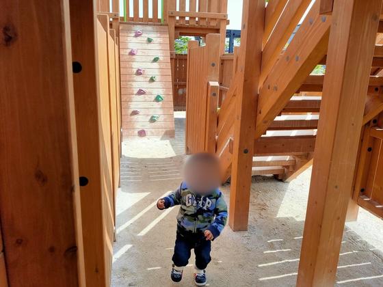 歌の森運動公園（写真4枚目）