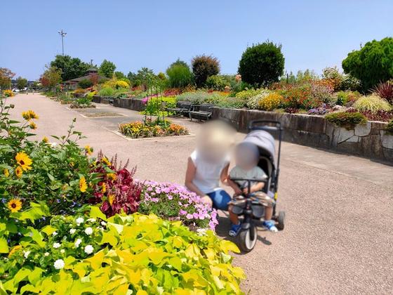 歌の森運動公園（写真6枚目）