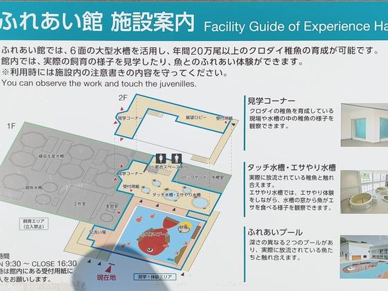 富山県栽培漁業センター（写真7枚目）