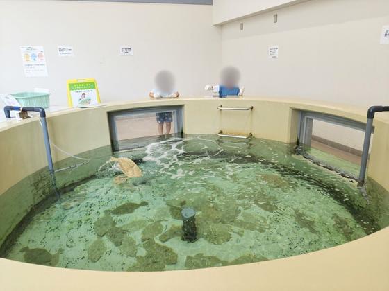 富山県栽培漁業センター（写真3枚目）