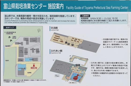 富山県栽培漁業センター（写真9枚目）