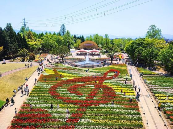 砺波チューリップ公園（写真3枚目）