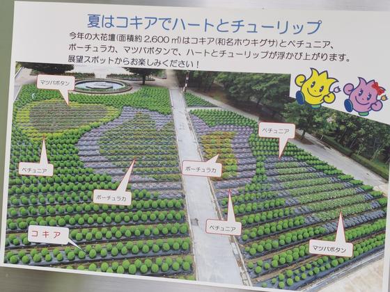 砺波チューリップ公園（写真5枚目）