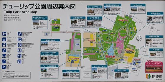 砺波チューリップ公園（写真10枚目）