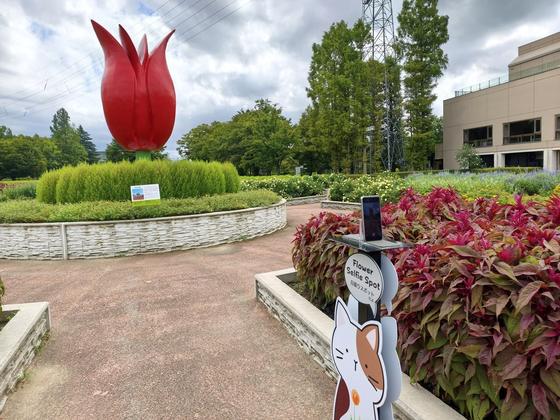 砺波チューリップ公園（写真7枚目）