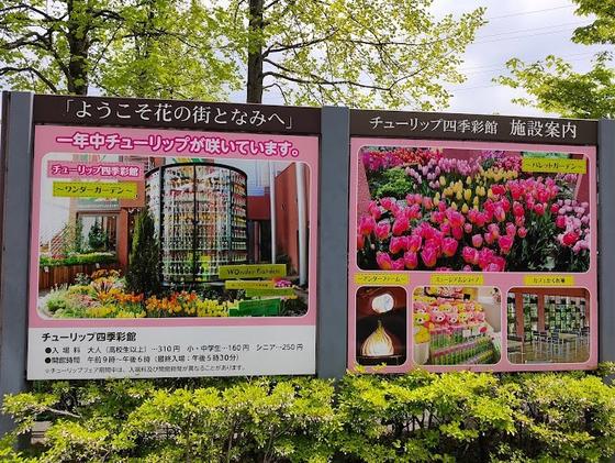 砺波チューリップ四季彩館（写真2枚目）