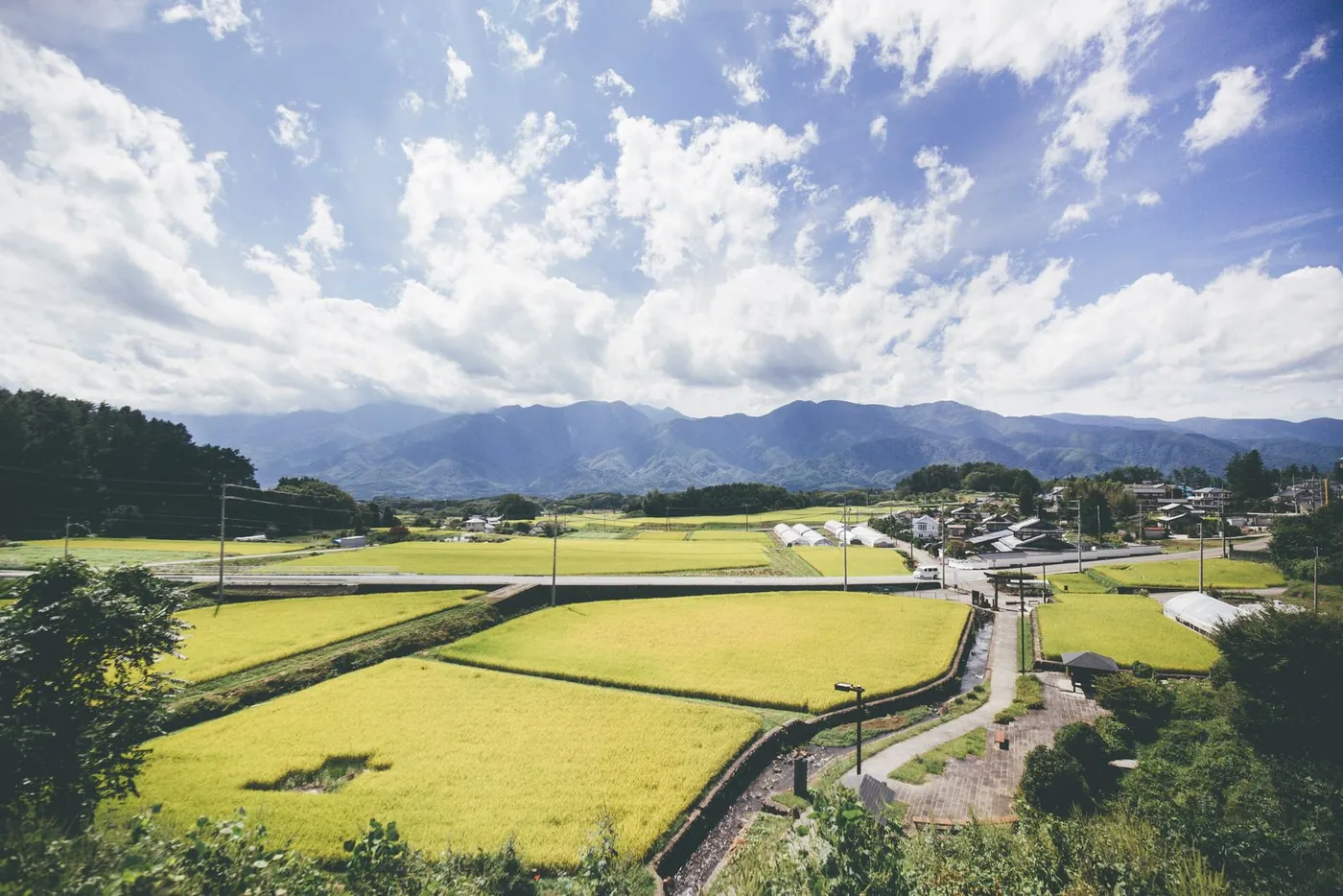 実りの季節をむかえた田畑と山並み