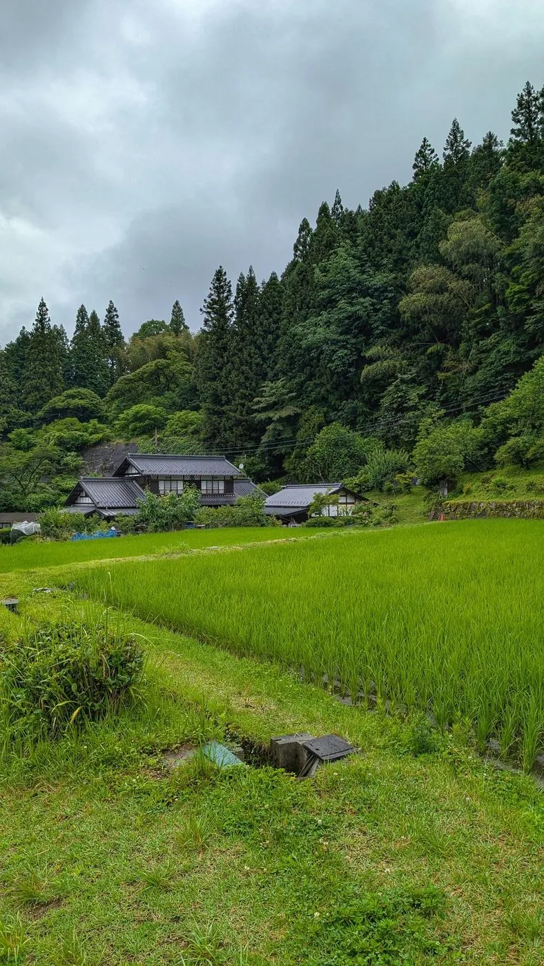 山あいに広がる田んぼと日本家屋