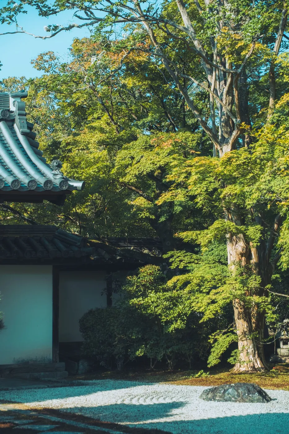 枯山水風の坪庭（サンプル事例）