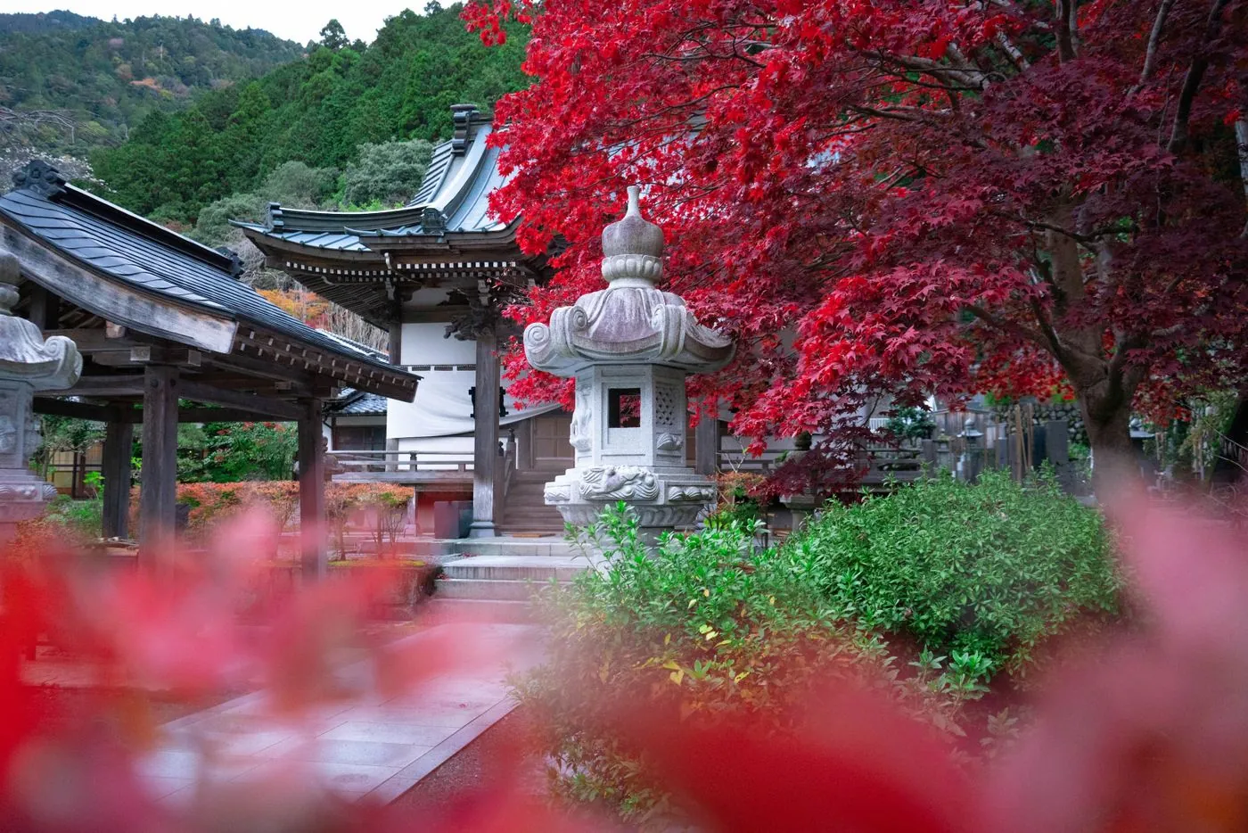 和風庭園の改修（サンプル事例）
